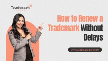 How to Renew a Trademark Without Delays