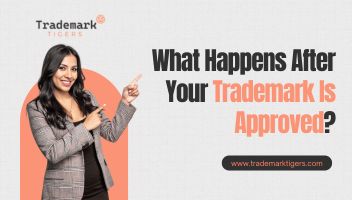 What Happens After Your Trademark Is Approved